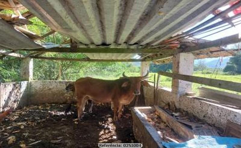 Sítio à venda com 3 quartos, 18000m² - Foto 22