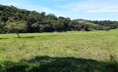 Sítio à venda com 2 quartos, 210000m² - Foto 13