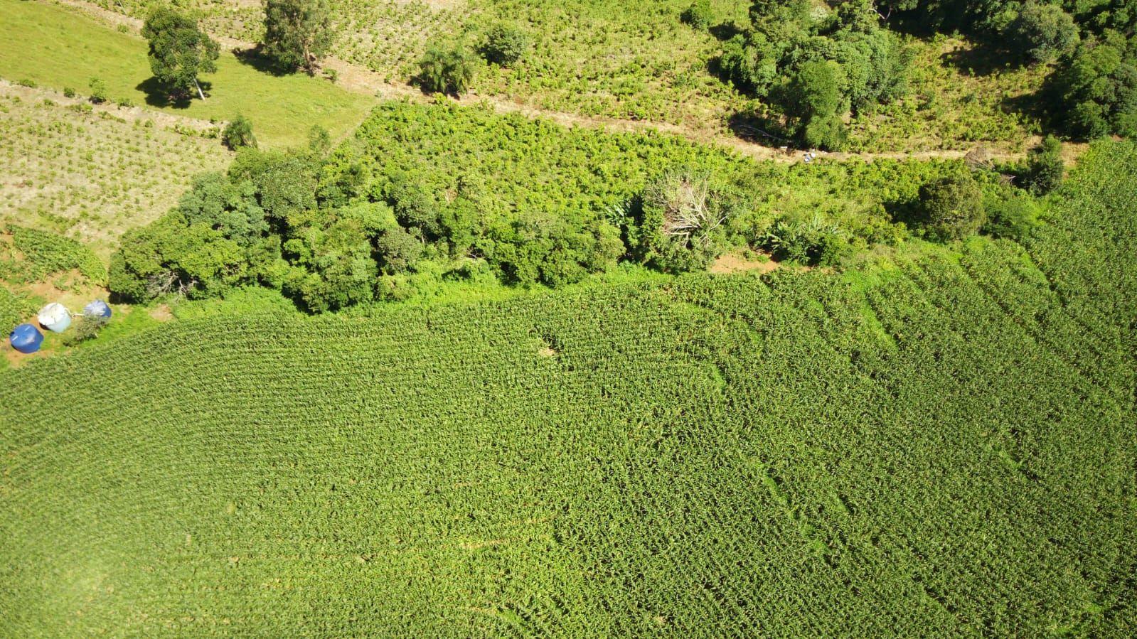 Loteamento e Condomínio à venda, 167000m² - Foto 3