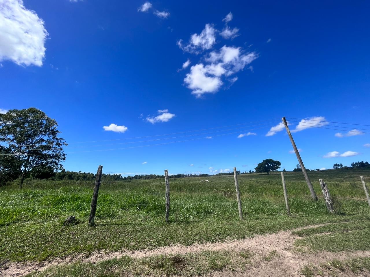 Fazenda à venda, 48400m² - Foto 23