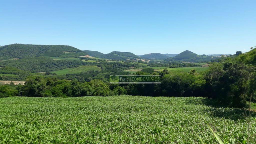 Terreno à venda, 82160M2 - Foto 3