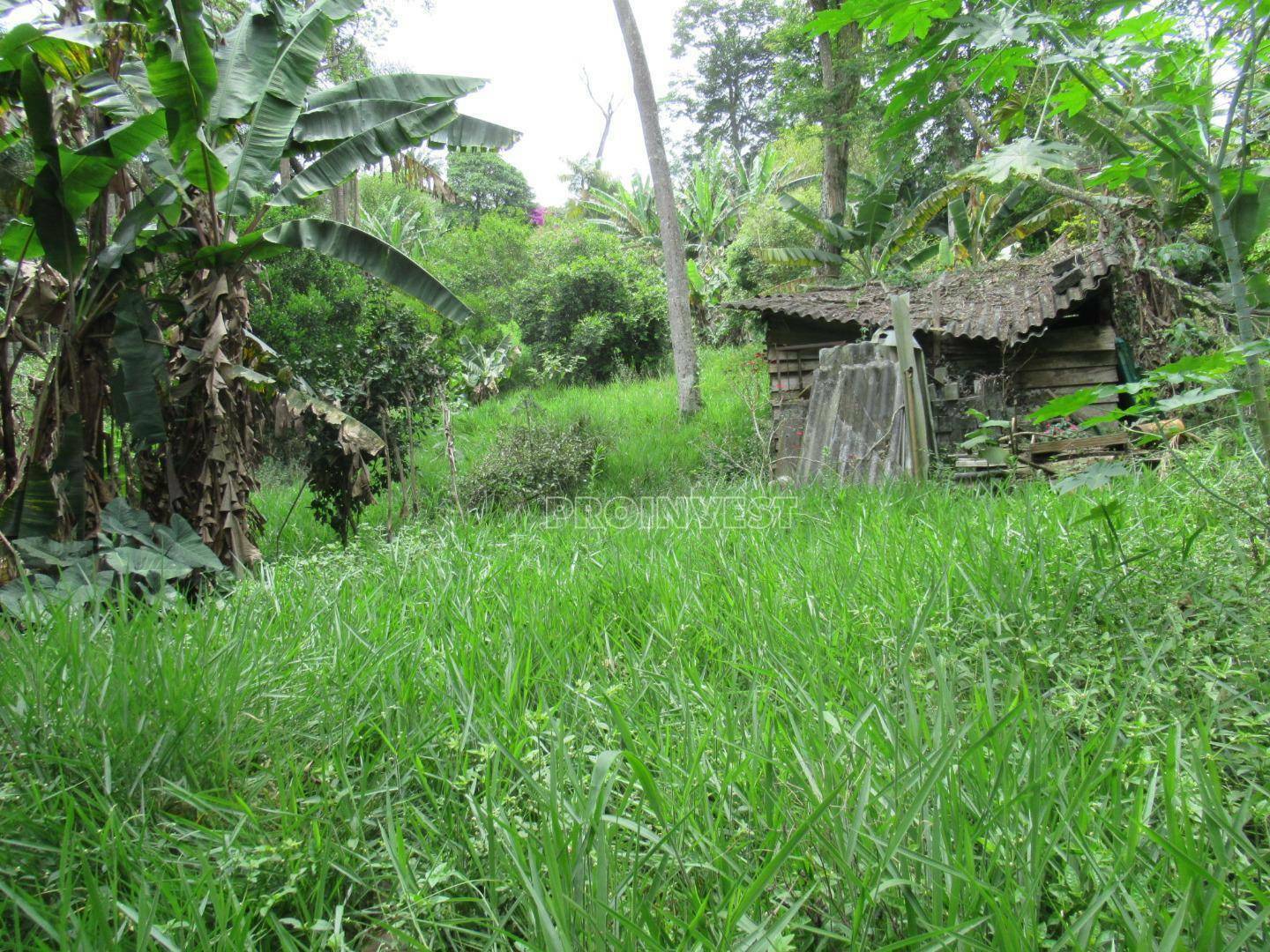 Loteamento e Condomínio à venda, 2000M2 - Foto 6