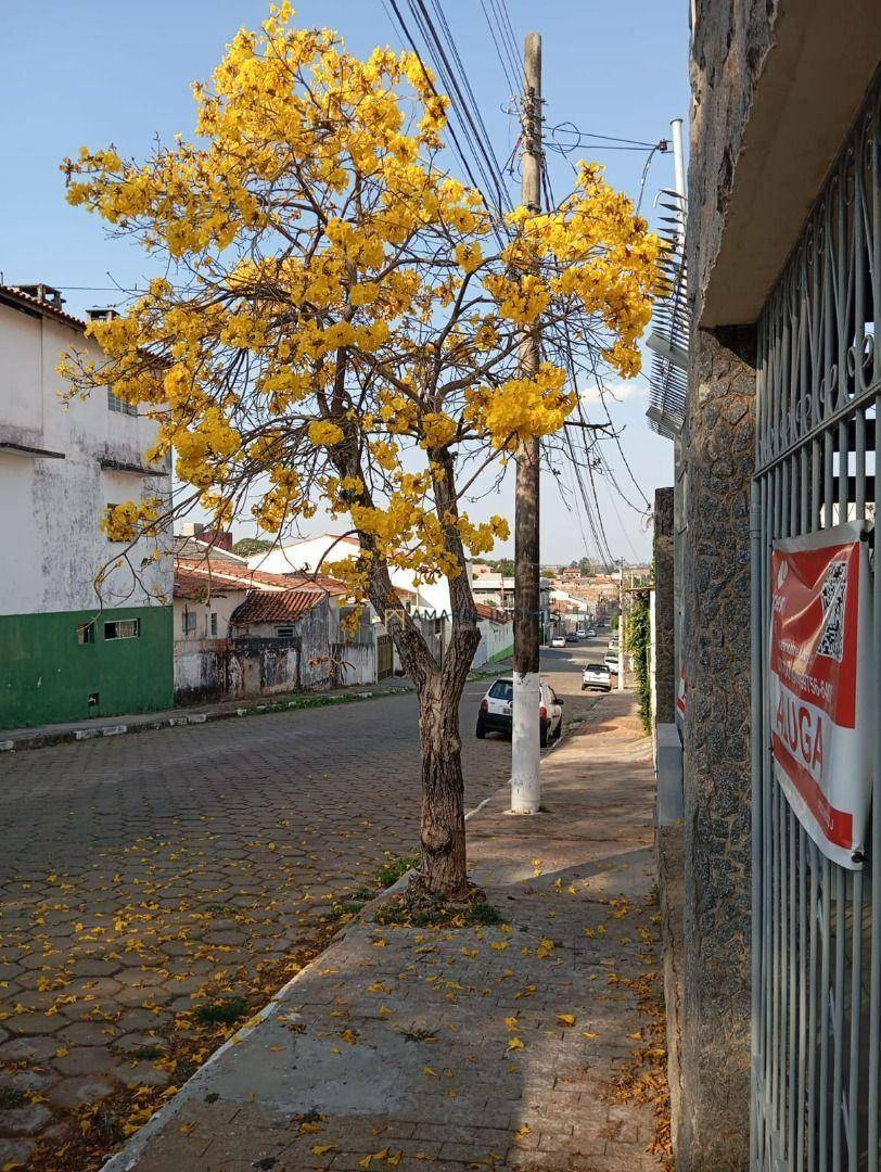 Casa, 4 quartos, 300 m² - Foto 1