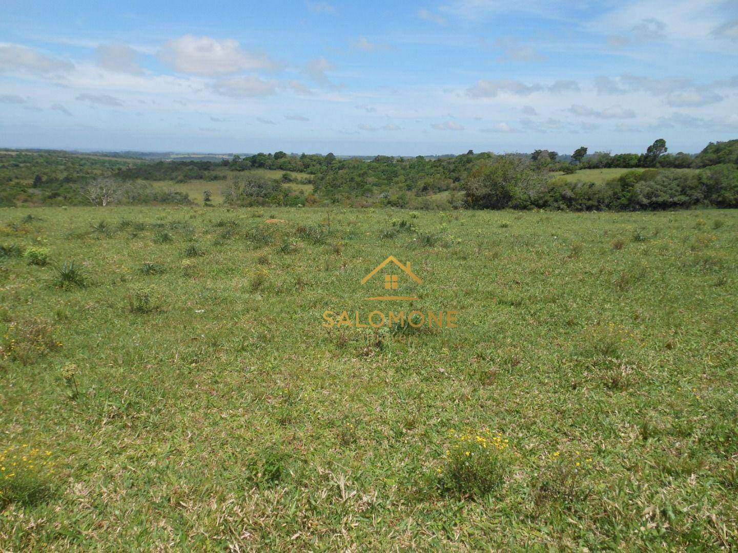 Fazenda, 80 hectares - Foto 4
