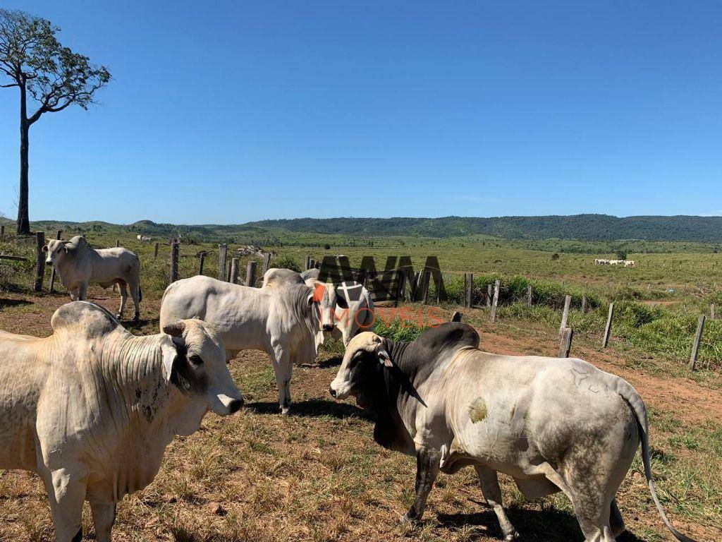 Fazenda à venda, 121000000M2 - Foto 4