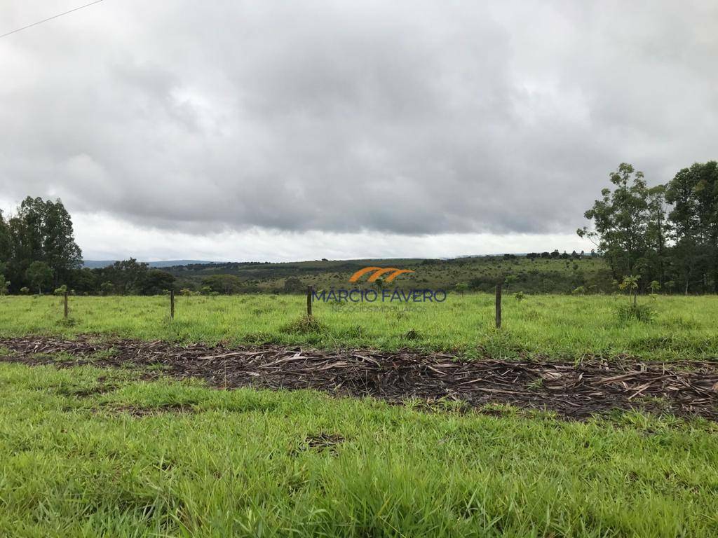 Fazenda à venda, 4250000M2 - Foto 15