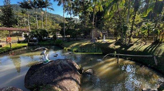 Sítio à venda com 2 quartos, 1800M2 - Foto 4