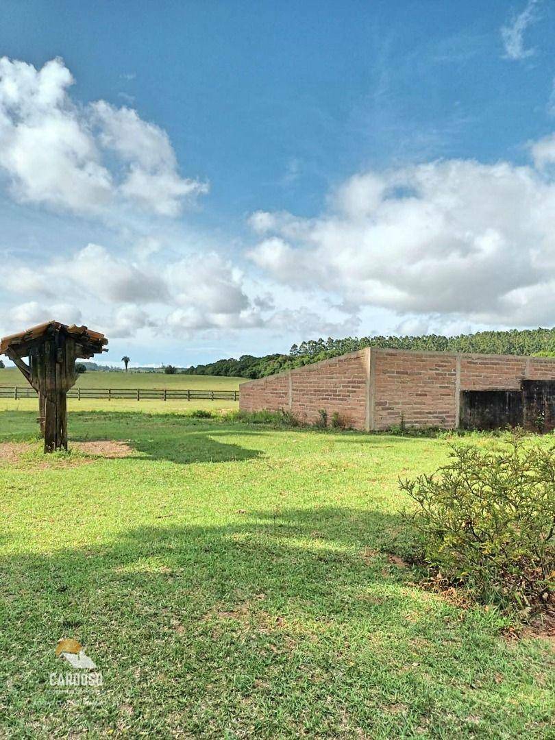 Haras e Área Rural Padrão à venda, 20000M2 - Foto 12