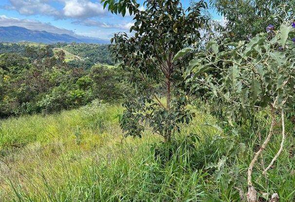 Loteamento e Condomínio à venda, 1700M2 - Foto 1