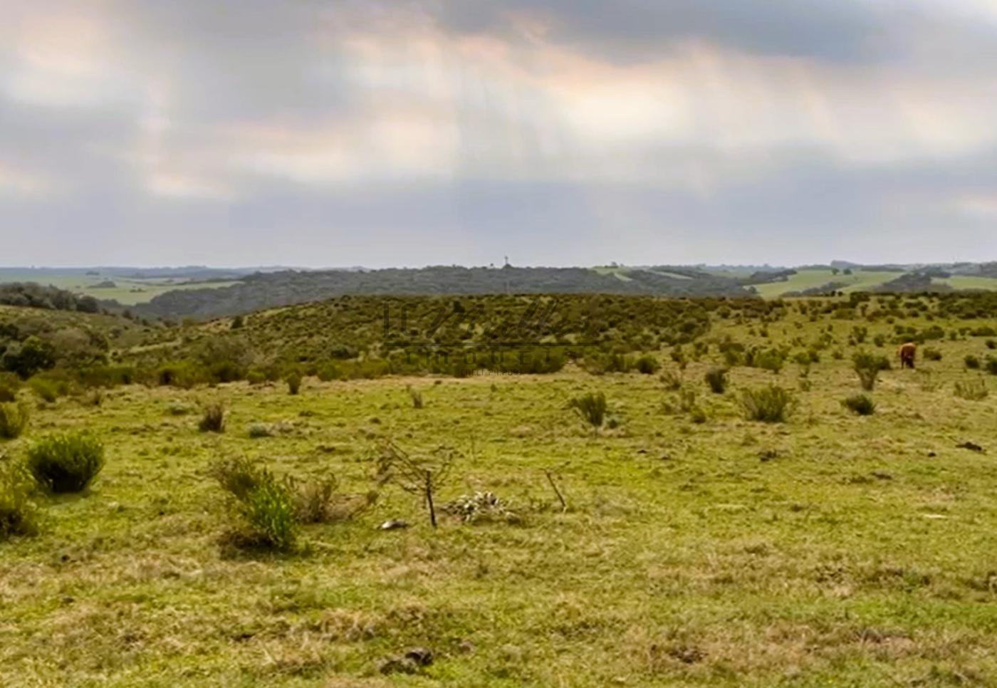 Fazenda à venda, 386m² - Foto 2