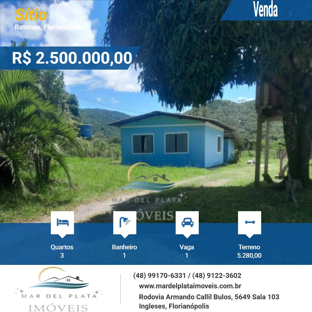 Sítio à venda com 3 quartos, 5280m² - Foto 10