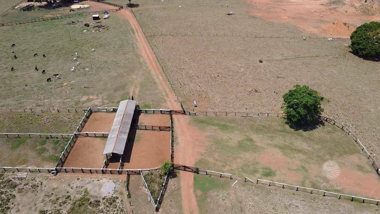 Fazenda à venda, 2135000M2 - Foto 5