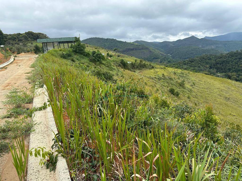 Loteamento e Condomínio à venda, 1148M2 - Foto 2