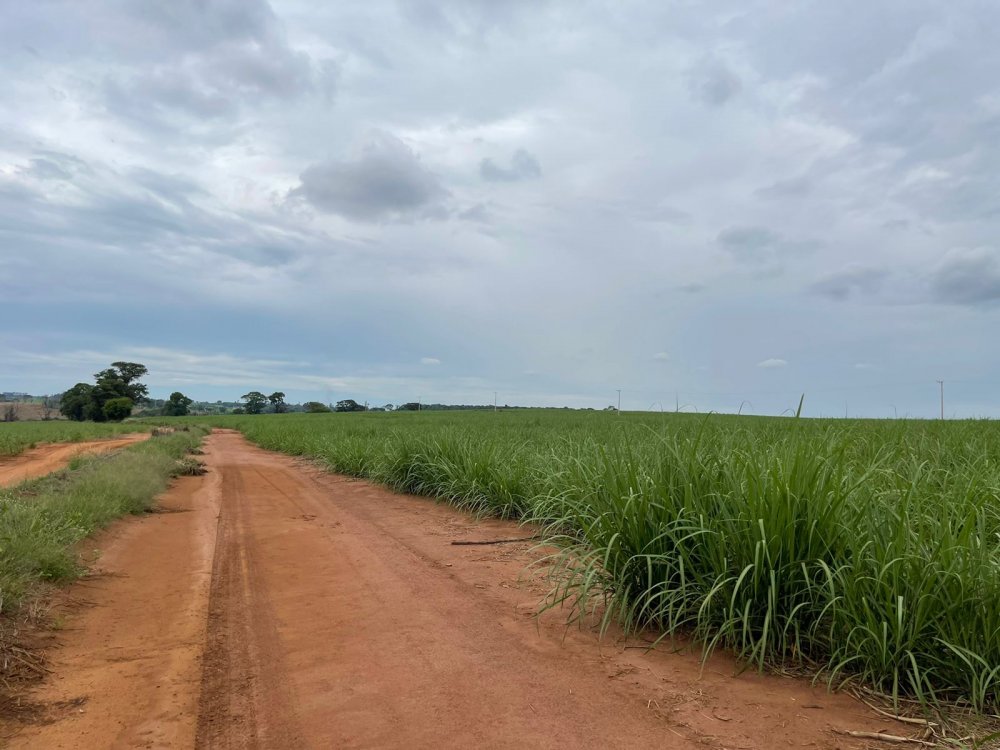 Fazenda à venda, 215m² - Foto 6