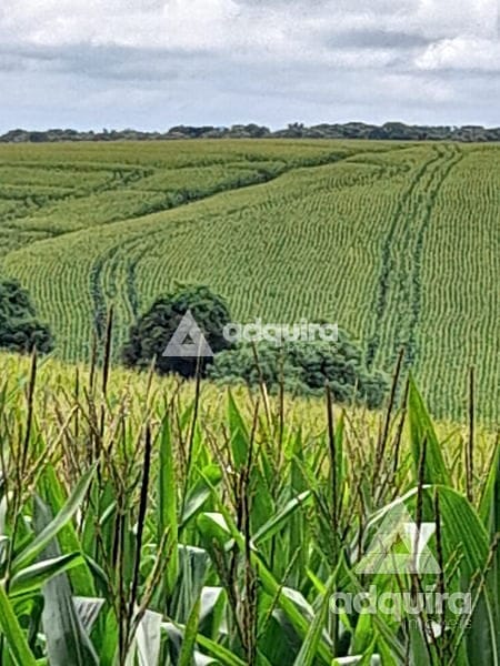 Fazenda-Sítio-Chácara, 104 hectares - Foto 2