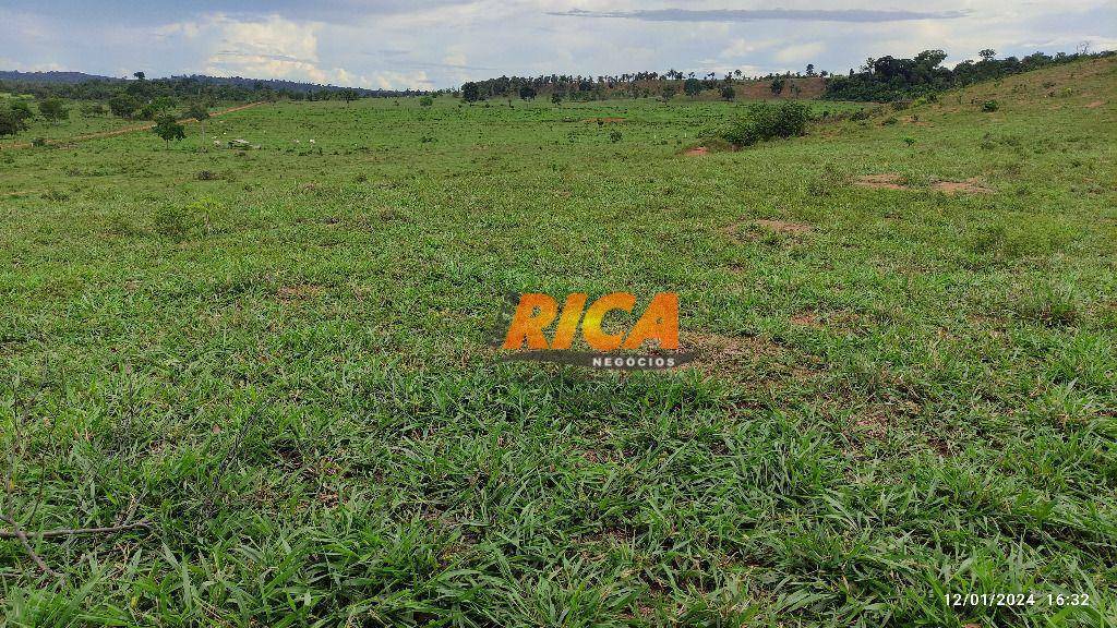 Fazenda à venda, 3300000M2 - Foto 21