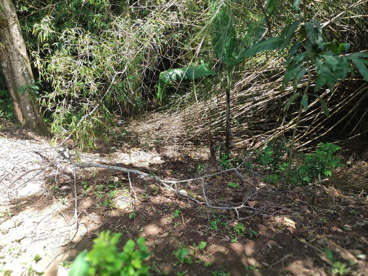 Fazenda à venda com 3 quartos, 1000m² - Foto 38