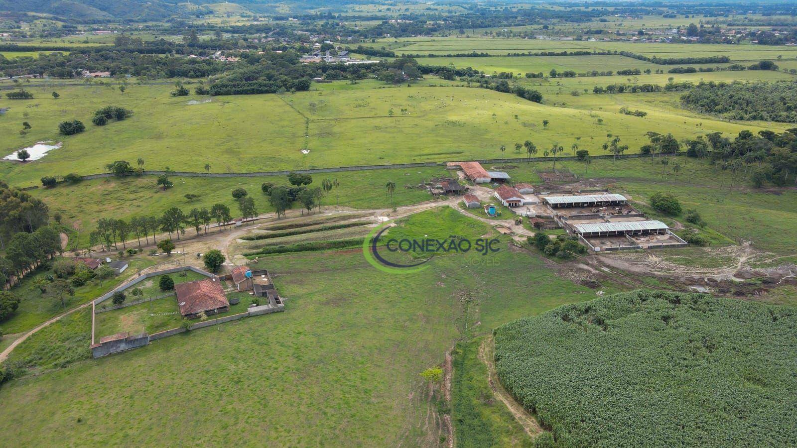 Fazenda à venda com 7 quartos, 968000M2 - Foto 14