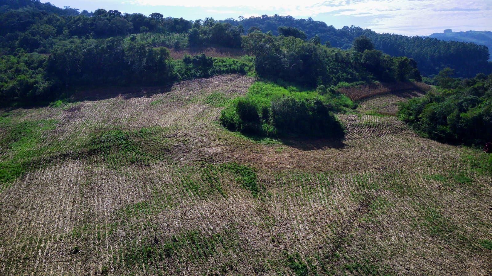 Loteamento e Condomínio à venda, 199000m² - Foto 1