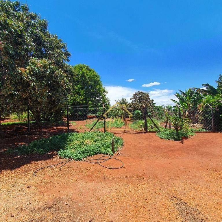 Haras e Área Rural Padrão à venda com 4 quartos, 1000m² - Foto 15