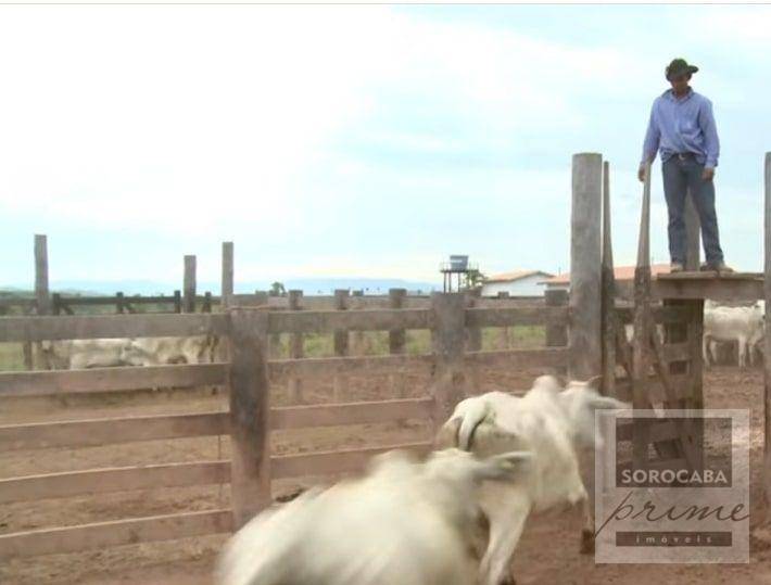 Fazenda à venda, 4270000000M2 - Foto 9