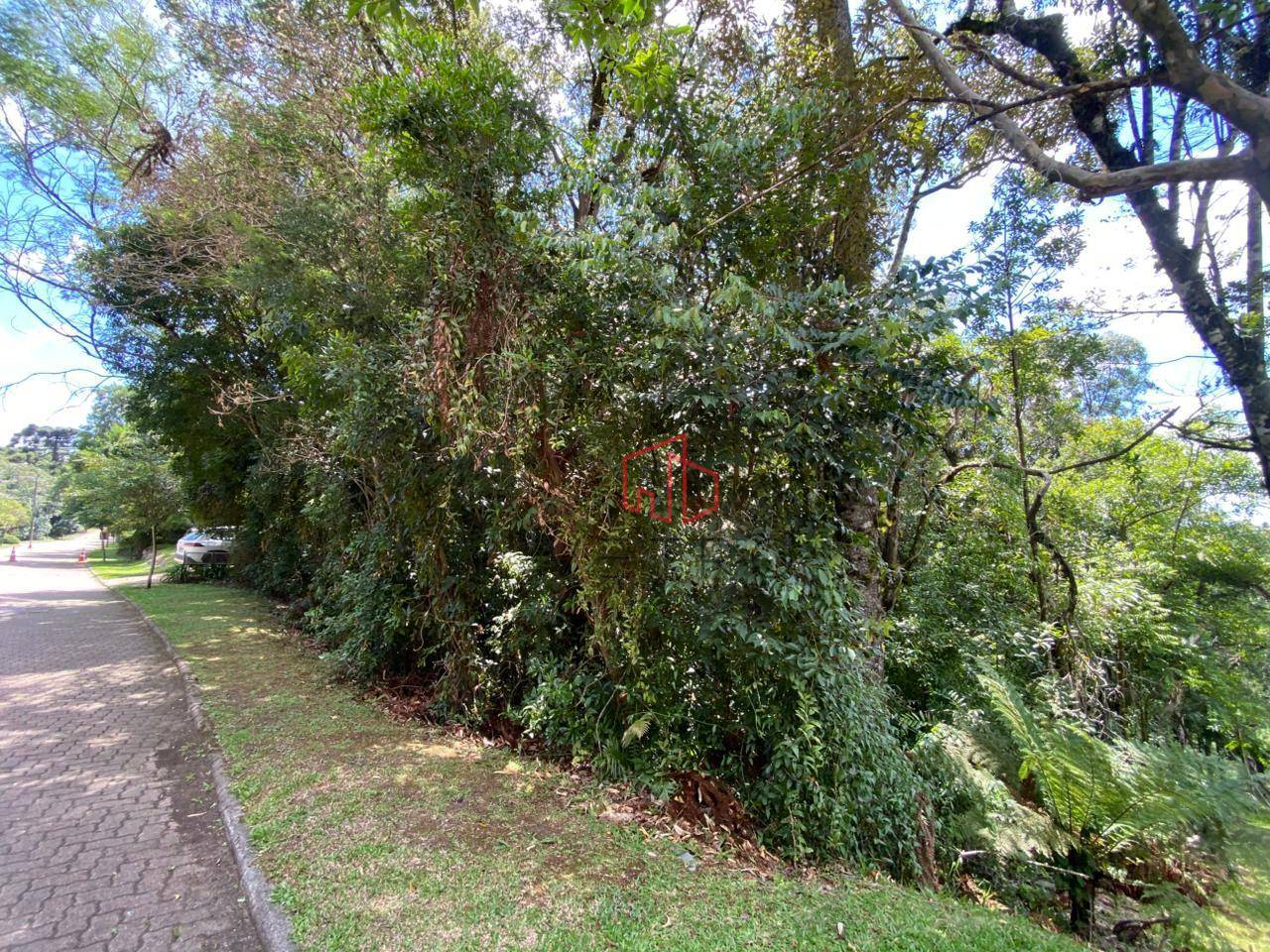 Loteamento e Condomínio, 798 m² - Foto 4