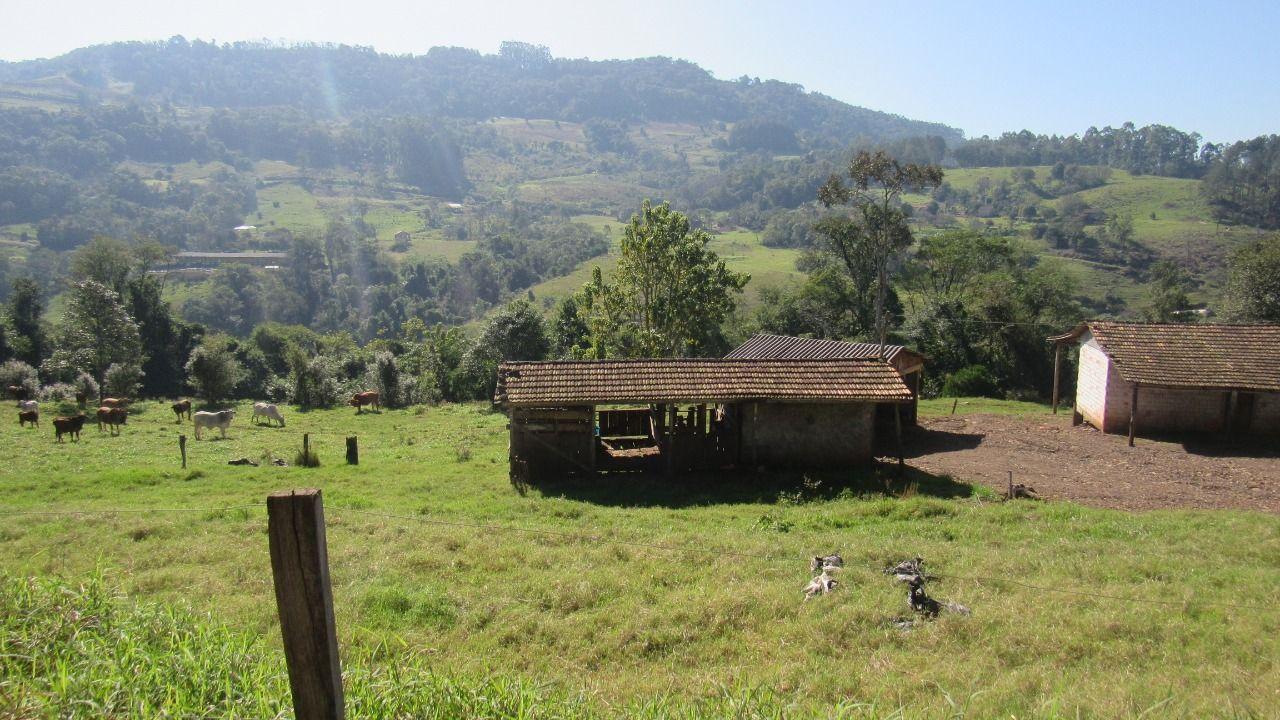 Loteamento e Condomínio à venda, 30000m² - Foto 23