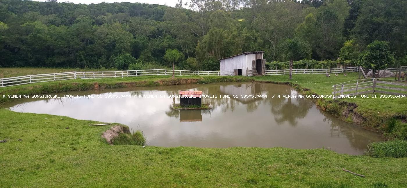 Chácara à venda com 4 quartos, 130000m² - Foto 14