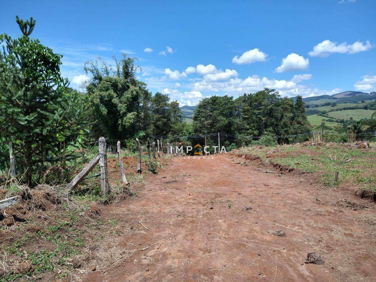 Sítio à venda com 3 quartos, 58000M2 - Foto 80