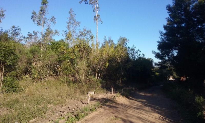 Loteamento e Condomínio à venda, 110000m² - Foto 3