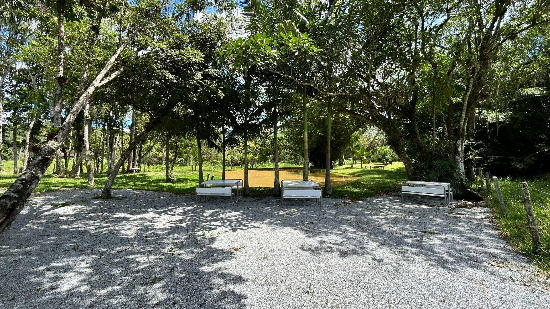 Chácara, 2 hectares - Foto 15