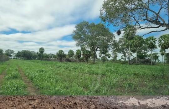 Fazenda à venda, 7300m² - Foto 5