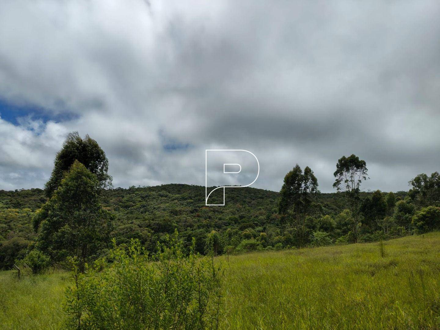 Terreno, 27 hectares - Foto 4