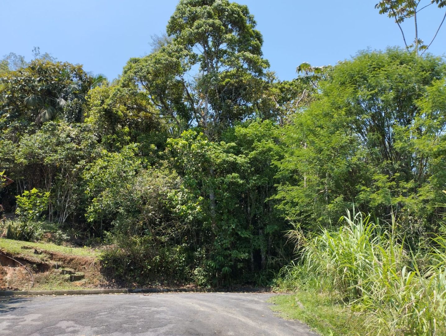 Terreno à venda, 15638M2 - Foto 1