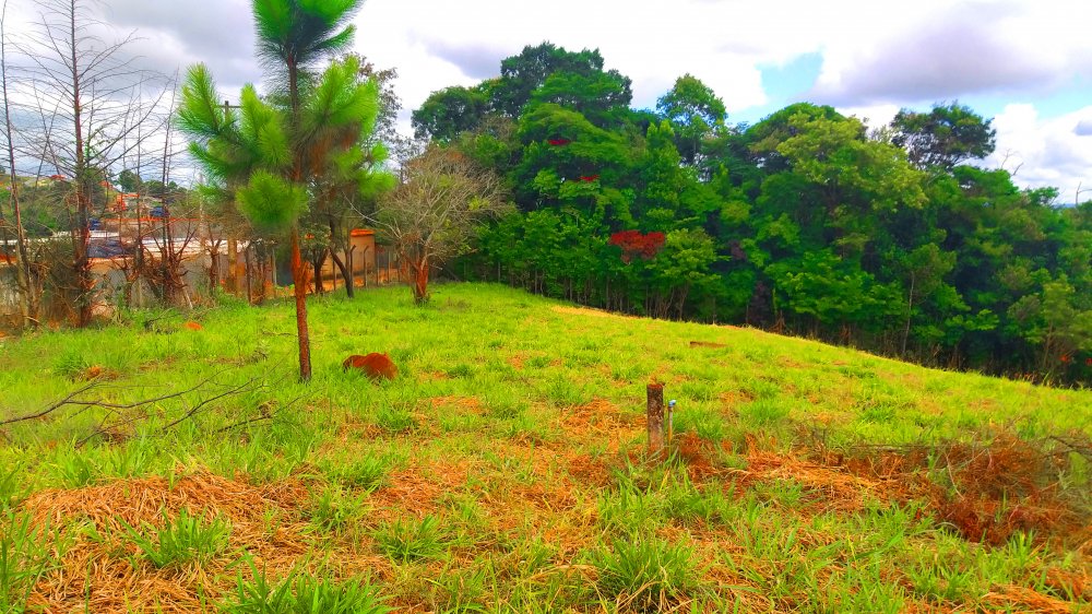 Terreno à venda, 1300m² - Foto 4