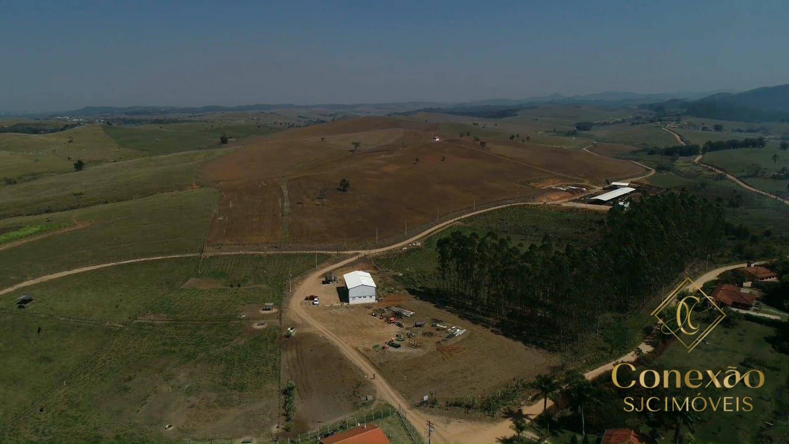 Fazenda, 257 hectares - Foto 8