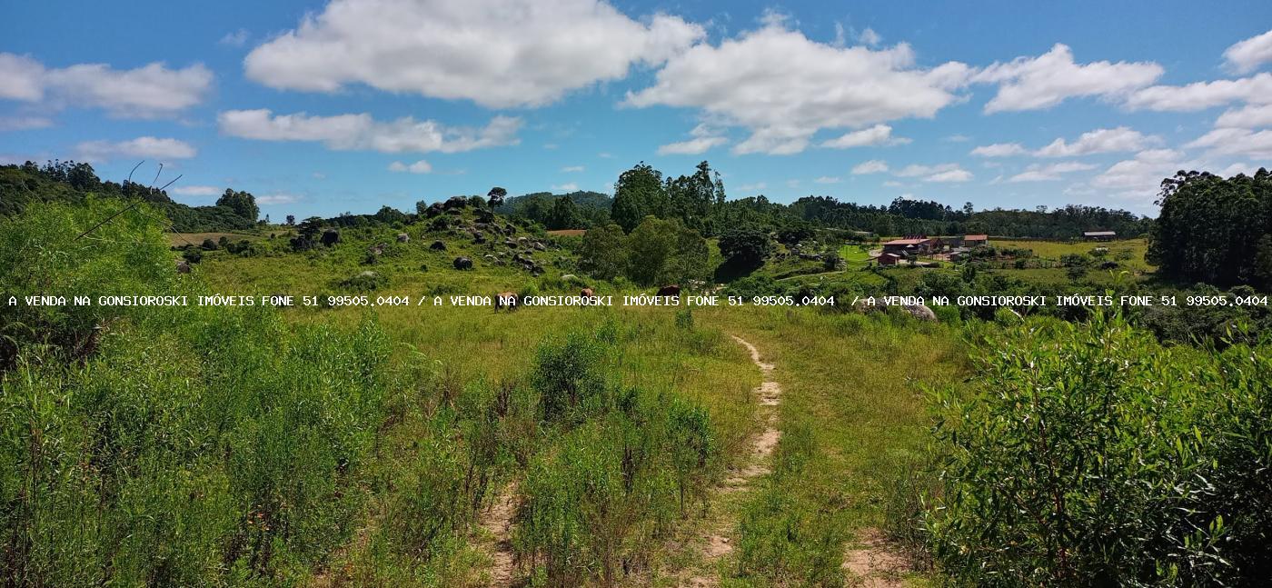Chácara à venda com 2 quartos, 600000m² - Foto 41