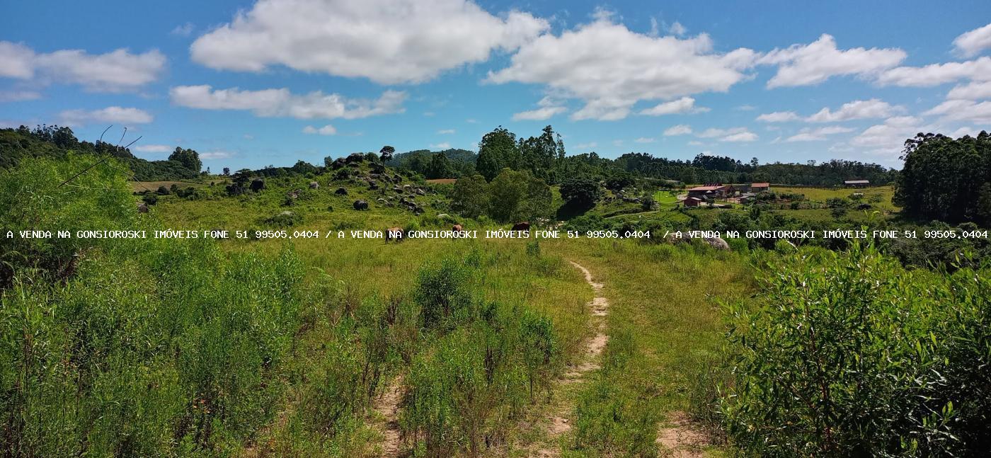 Fazenda à venda com 2 quartos, 600000m² - Foto 41