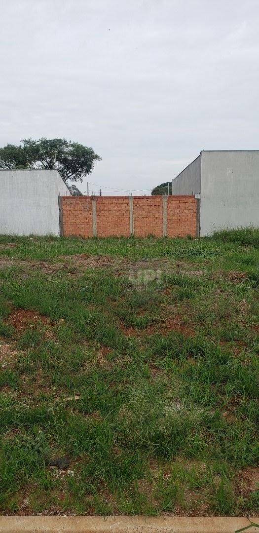 Terreno à venda, 250M2 - Foto 2