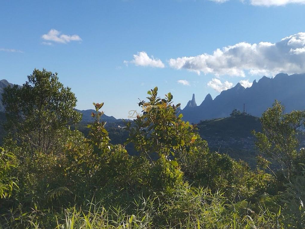 Terreno à venda, 233m² - Foto 7