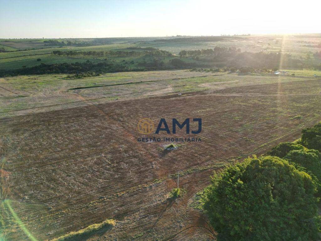 Fazenda à venda com 5 quartos, 1400m² - Foto 62