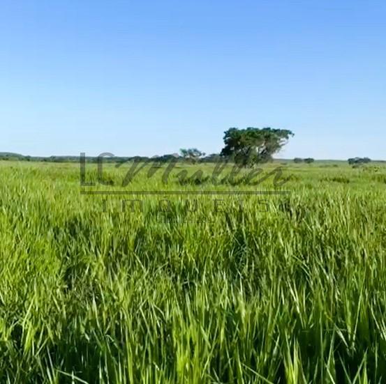 Fazenda à venda, 2856m² - Foto 13