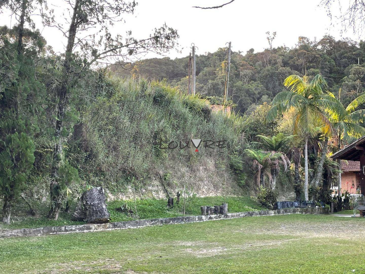 Sítio à venda com 3 quartos, 14000M2 - Foto 10