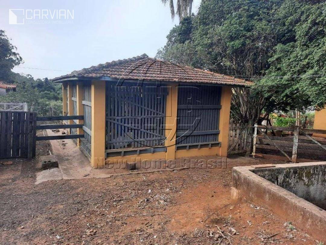 Sítio à venda com 3 quartos, 33975M2 - Foto 11