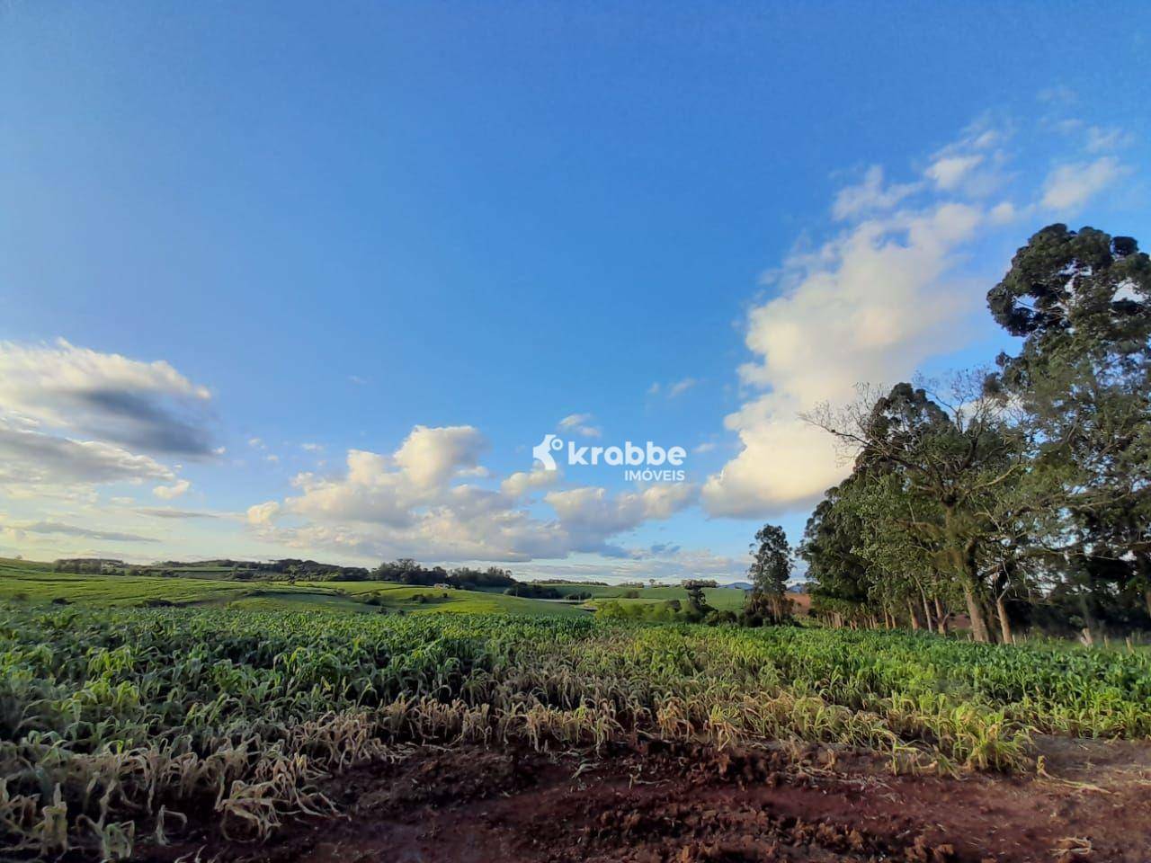 Terreno à venda, 100000M2 - Foto 3