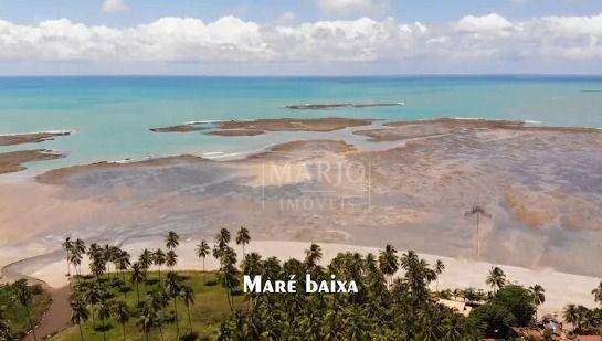 Terreno, 11 hectares - Foto 5