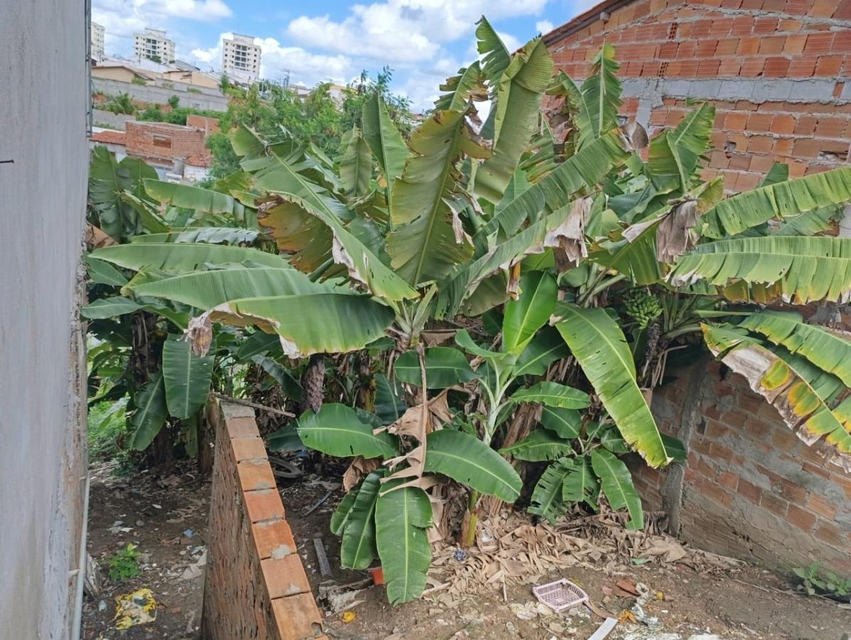 Casa à venda com 2 quartos - Foto 5