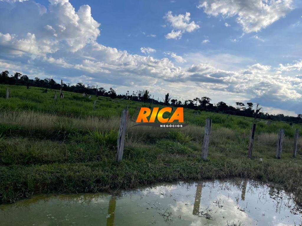 Sítio, 40 hectares - Foto 35