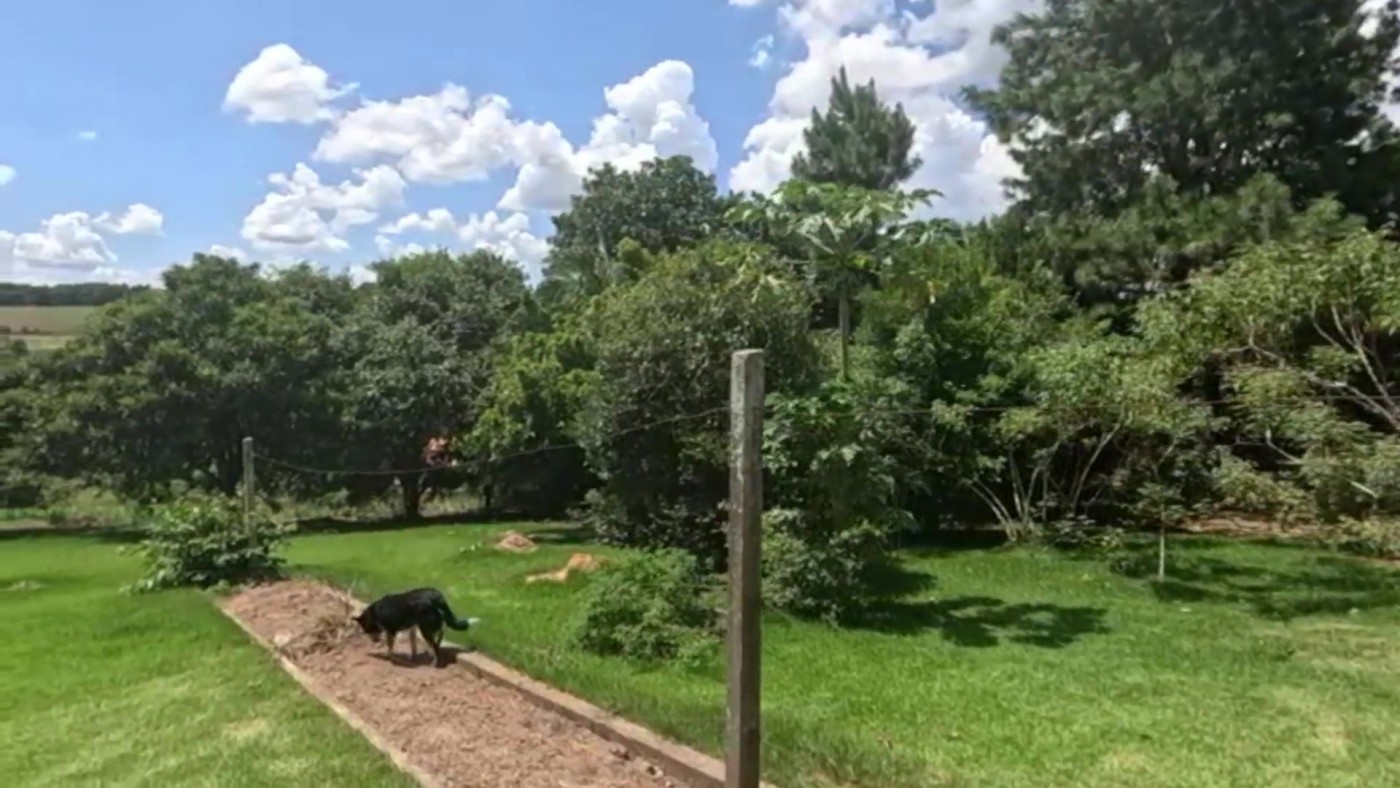 Chácara à venda com 4 quartos, 6100m² - Foto 27