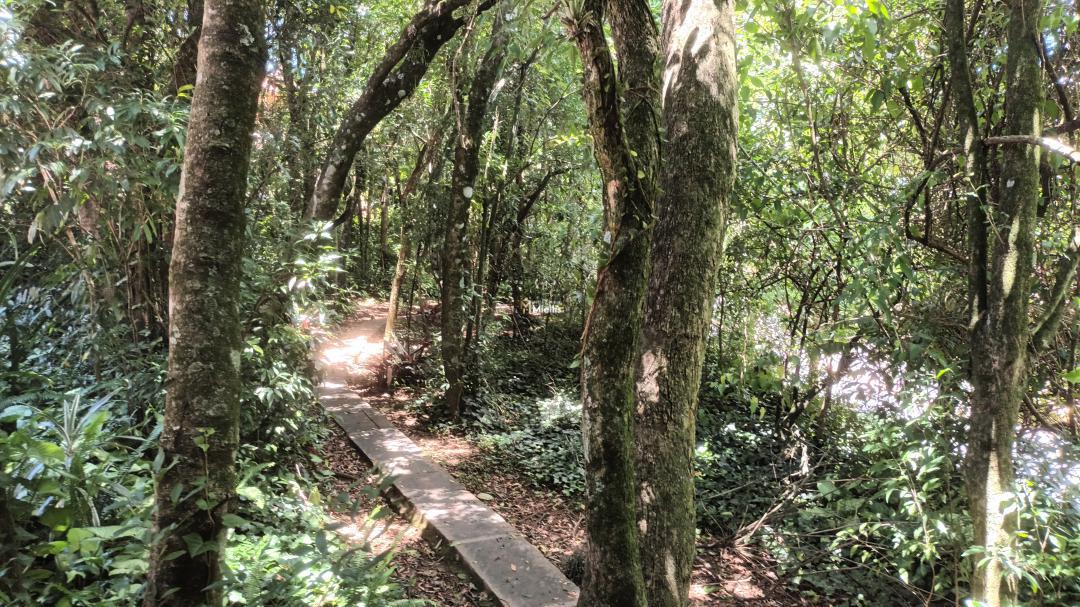 Casa de Condomínio, 3 quartos - Foto 28